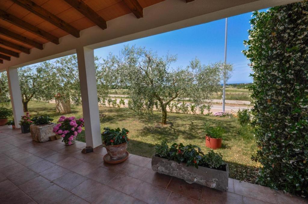 Appartamento Angela Novigrad Istria Esterno foto