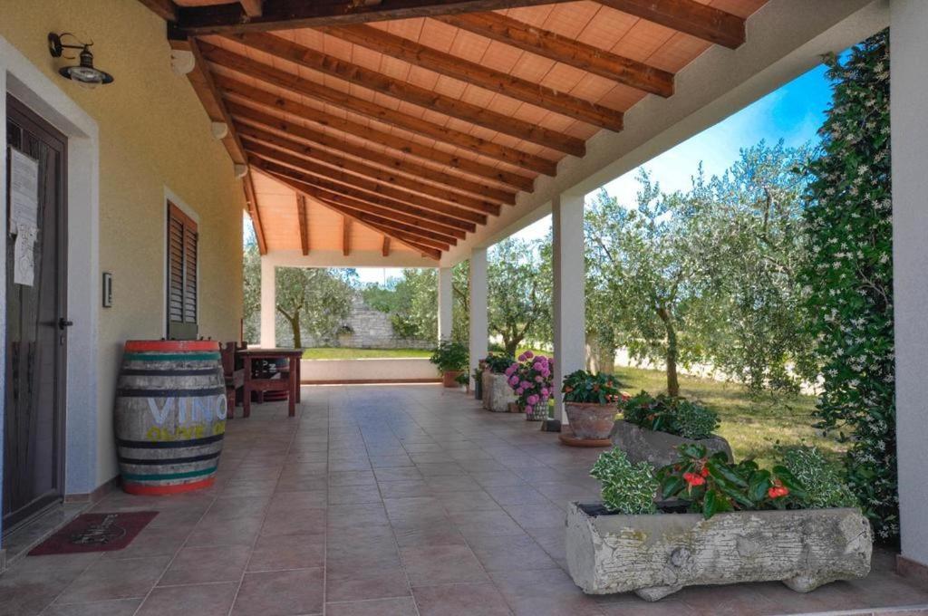 Appartamento Angela Novigrad Istria Esterno foto