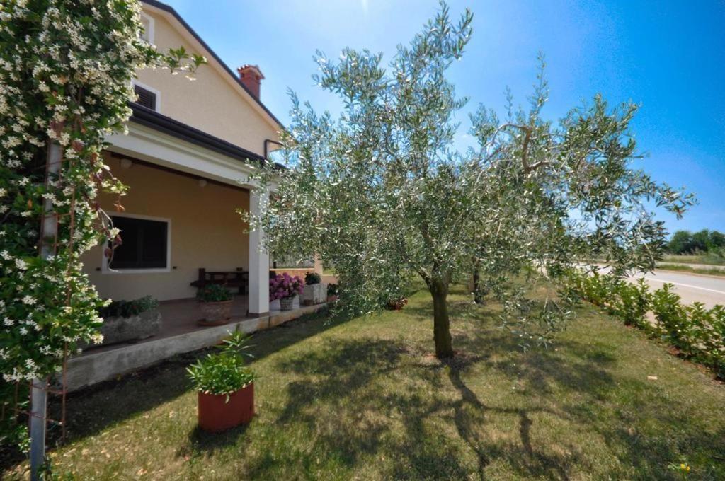 Appartamento Angela Novigrad Istria Esterno foto